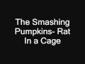 The Smashing Pumpkins- Rat In a Cage