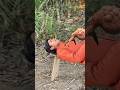 नीरज को दिखा मॉन्स्टर 🐙 || #shorts#viral#trending#video#monster@Mohitvloger7700