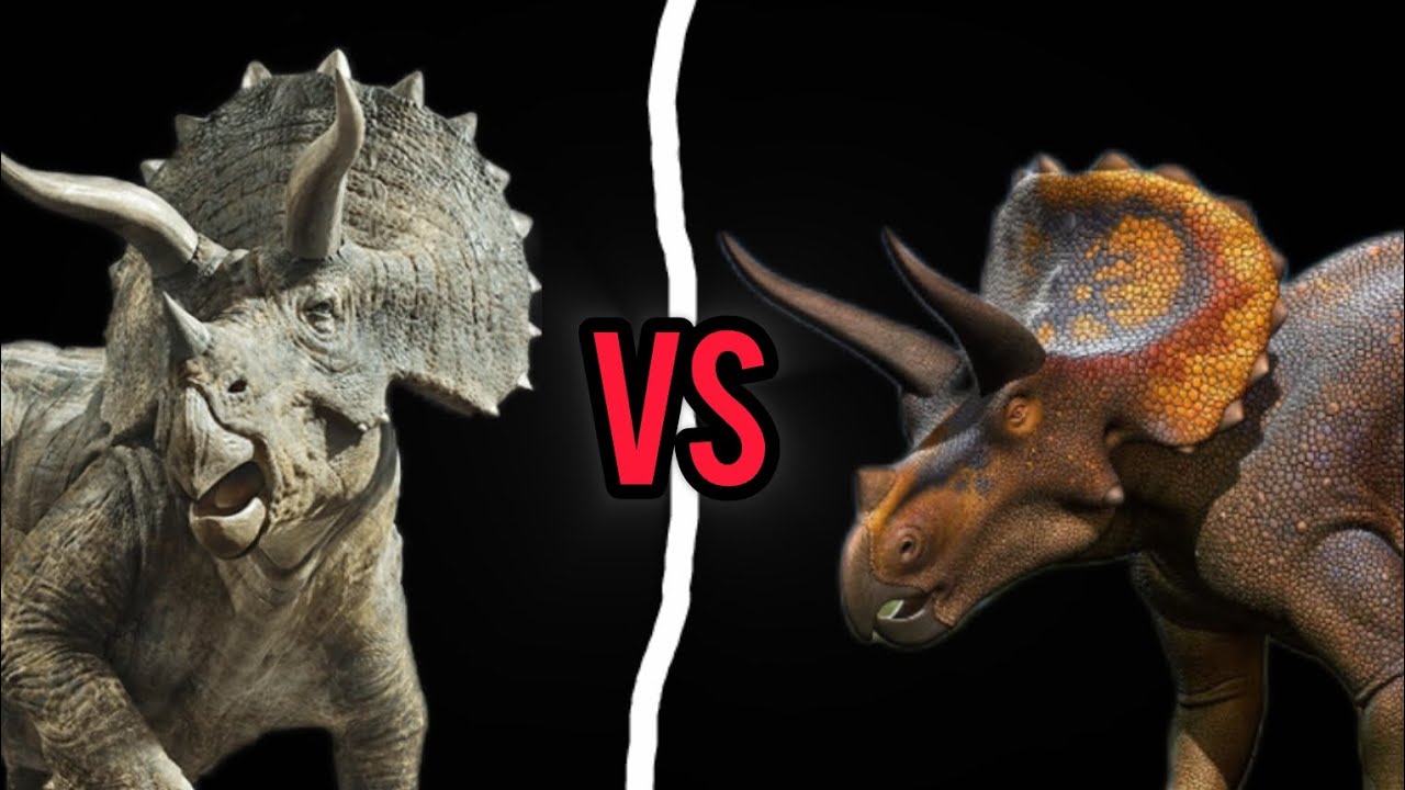 jwfk triceratops vs irl triceratops who wins..?