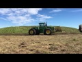 Watching the Neighbours cut silage