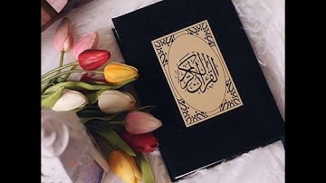 تلاوة مباركة من سورة التوبة . القاريء الشيخ ضياء المرعي