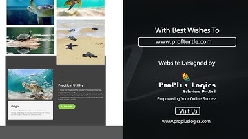 PROFTURTLE Unveiled: A Sleek and Modern Website Designed by "ProPlus Logics Solutions"