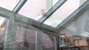 Building Control: Case Studies of Conservatories