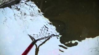 Dip Net Fishing Cape-Breton Ep. 2