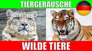 WILDE TIERE für Kleinkinder - Tierstimmen für Kinder, Kindergarten, Baby auf Deutsch | Lernvideo