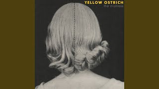 Video thumbnail of "Yellow Ostrich - Bread"