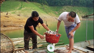 Making Bamboo Rafts, Fishing and Selling to Traders, River Survival | EP.347 by Rừng nhiệt đới 98,065 views 2 weeks ago 29 minutes