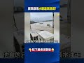 廣西暴雨「水壩連環潰堤」全村遭捲走載浮載沉！？ 倖存居民喊：水裡好多人！@ebcCTime #shorts