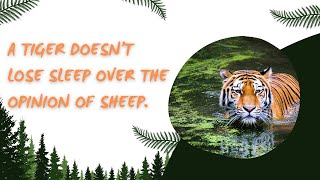 A tiger doesn’t lose sleep over the opinion of sheep.