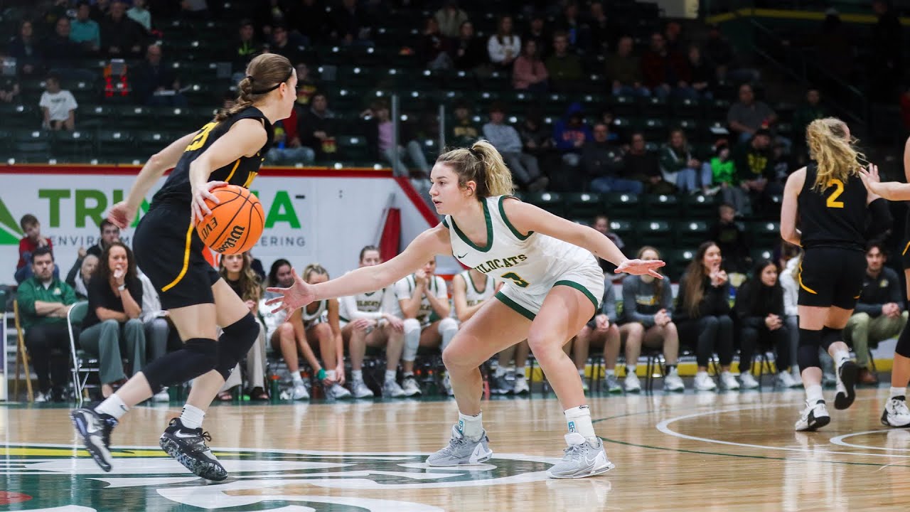 Women's Basketball Highlights vs. Michigan Tech 1/14/23 YouTube