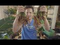 How to Repot and Split a ZZ plant