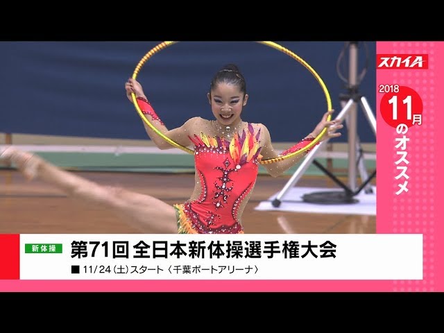 新体操　ビデオ　87新体操世界選手権大会　９本 sddefault.jpg