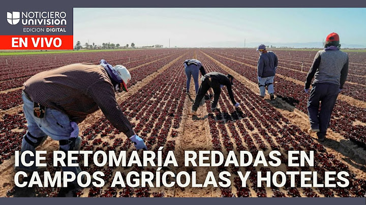 ICE retomaría redadas en campos agrícolas y hoteles Edicion Digital 17 de junio de 2025