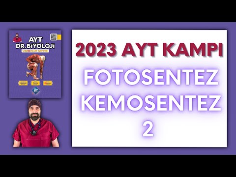 Fotosentez ve Kemosentez-2 AYT Biyoloji Kampı Konu Anlatımı/ 12.Sınıf 2024 Tayfa