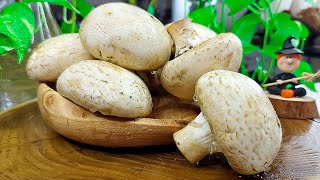 How to make a delicious and perfect mushroom? | Amazing stuffed mushroom recipe | Veg Starter Recipe