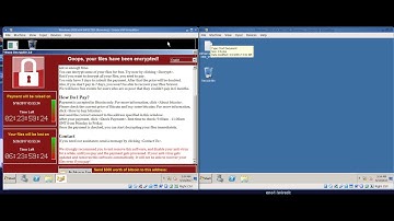 Demonstration of WannaCry Ransomware Infection (non-tech)