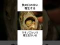 寄生虫 アニサキスに関する面白い雑学 雑学 寄生虫 ゆっくり解説 寄生虫 アニサキスに関する面白い雑学 雑学 寄生虫 ゆっくり解説