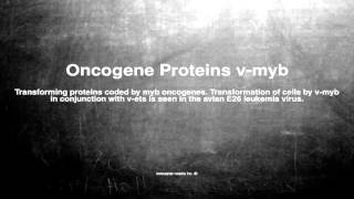 Medical vocabulary: What does Oncogene Proteins v-myb mean