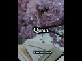 qurani ayat with urdu translation #quran #ayatalquran #islamicstatus