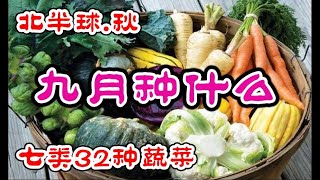 9月种什么，北半球秋季种菜大全，秋天可以种的七类32种蔬菜以及种植要点 Seven types of vegetables to grow in September/autumn