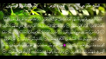 علي جريد - سورة الزمر