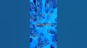 ماهر المعيقلي تلاوة خاشعة حالات واتس اب دينية