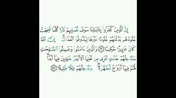 4 - سورة النساء ٥٦-٥٧ - سعد الغامدي