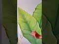Original Handmade Sage Green Banana Leaf Painting | Textured Wall Art #ridyart #painting#plants
