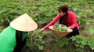 Cơm chiều Canh Bắp Rau Dền với Cá Lóc Kho Tiêu | Thôn Nữ Miền Tây