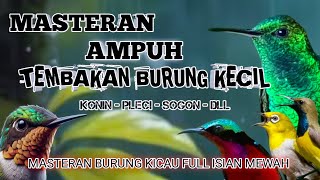 2 jam Suara burung kecil full tembakan mewah, masteran ampuh untuk burung lapangan jawara