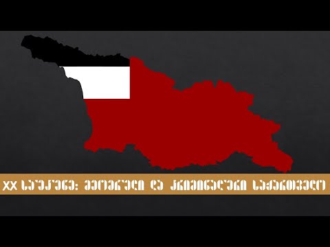 ალექსანდრე ელისაშვილის ლექცია თემაზე - \"XX საუკუნე: მეომრული და კრიმინალური საქართველო“