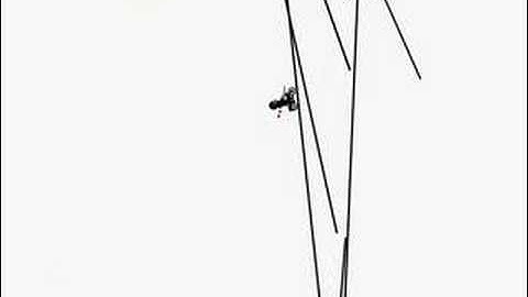 lineflyer: gigantic loop!