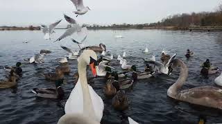 Kinnego Marina Ireland