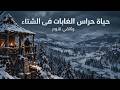                                                                                           حالتي