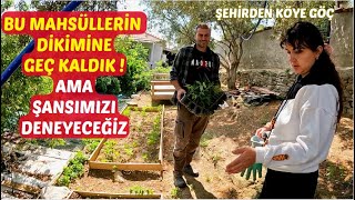 BU MAHSÜLÜN DİKİMİNE GEÇ KALDIK AMA ŞANSIMIZI DENEYECEĞİZ | KÖY EVİMİZİN BAHÇESİNİ GÜZELLEŞTİRİYORUZ