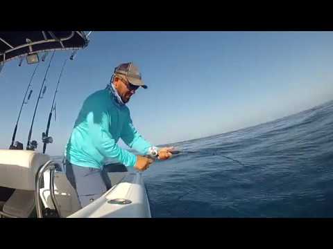 Tsunami slow pitch jigging rod and Forged 10 reel 