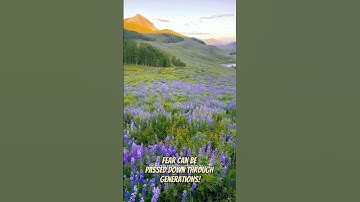 Did You Inherit Fear? The Science of Generational Trauma 🧬😨 #Shorts