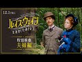 「ルイス・ウェイン 生涯愛した妻とネコ」“いい夫婦の日”特別映像
