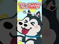 【2ch】ハスキーとレトリバーの散歩中…【アニマル】 #Shorts