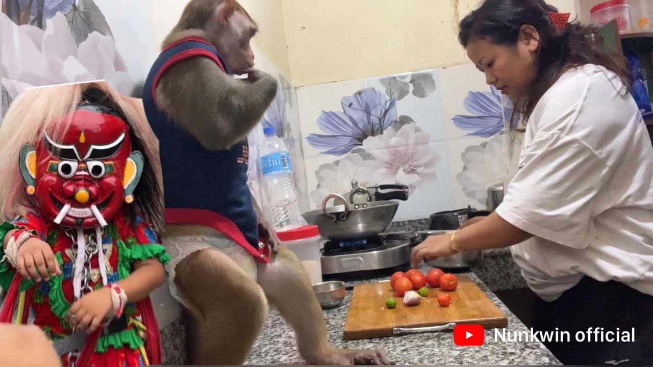 Jogu bhat pakeko dekhera katti khushi 🤣🤣🐒🐒 kina yo kursi dekhera Jogu darako 😱😱