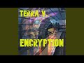 Encryption extended mix