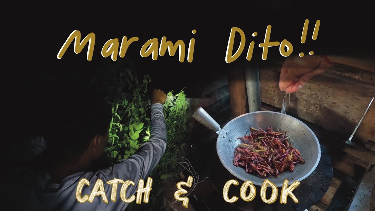 Pinupulot lang ang tipaklong (grasshopper) dito!