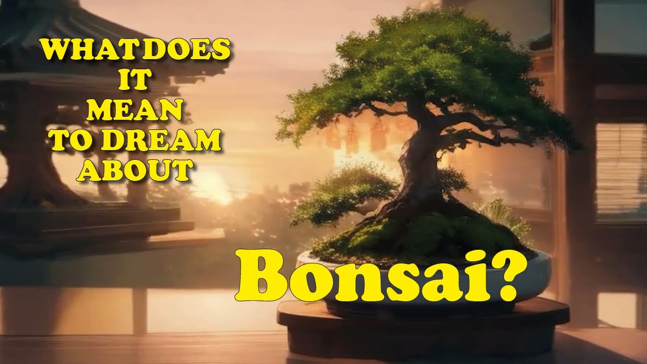 What does it mean to dream about Bonsai?