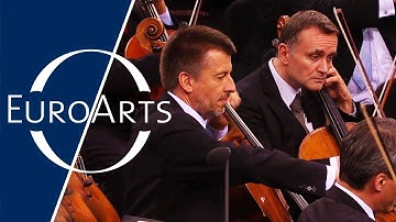 Bernstein - Divertimento for Orchestra, II. Waltz | Berlin Philharmonic Orchestra (Waldbühne 2014)