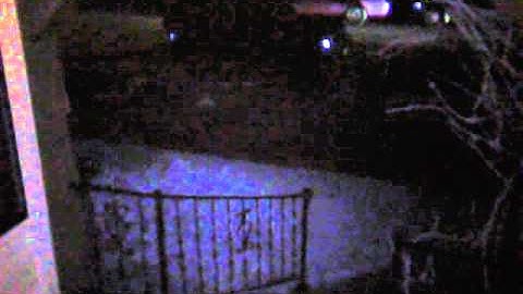 3_38_AM_Newspaper_Thief.avi