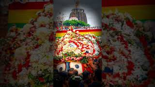 ଜୟ ଜଗନ୍ନାଥ 🙏 ରଥ ଯାତ୍ରା ସ୍ପେଶାଲ 2026 🎡 | Rath Yatra Special Status | Odia Shorts | #shorts