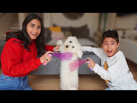 صبغناه ب لون وردي صار بنت