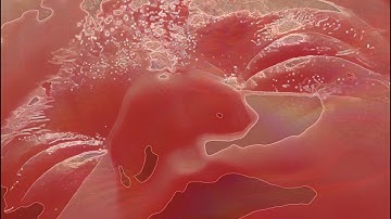 BED - throat (official music video)