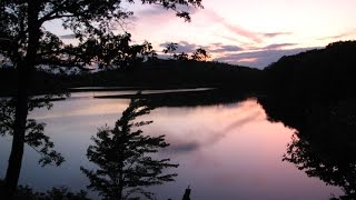 The Wildlife of Delaware Water Gap by FlorinSutu 3,358 views 9 years ago 15 minutes