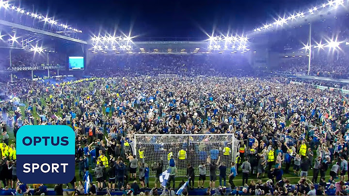 GOODISON PARK IN RAPTURES 🎉 Fans invade pitch as Toffees stay up